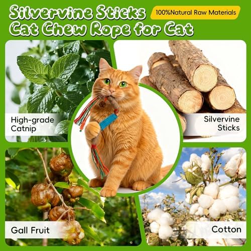 Silvervine Sticks for Cats & Cat Chew Rope Toys for Indoor Cats Dental Care Teeth Cleaning, Kitten & Cat Teething Toys for Health, Cat Chew Stick Suitable for All Breeds of Aggressive Chewers Cat 1 - Image 2