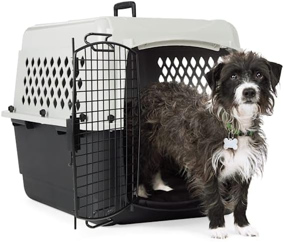 EveryYay by Petco Portable Plastic Pet Kennel 28" L X 21" W X 21" H Grey