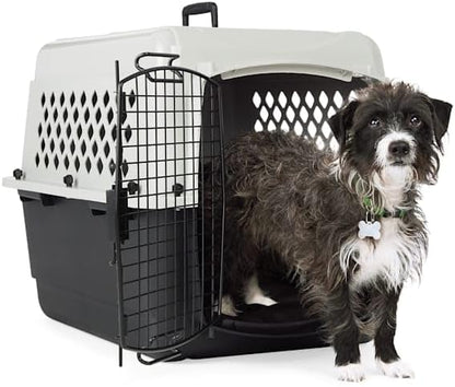 EveryYay by Petco Portable Plastic Pet Kennel 28" L X 21" W X 21" H Grey