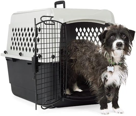 EveryYay by Petco Portable Plastic Pet Kennel 28" L X 21" W X 21" H Grey