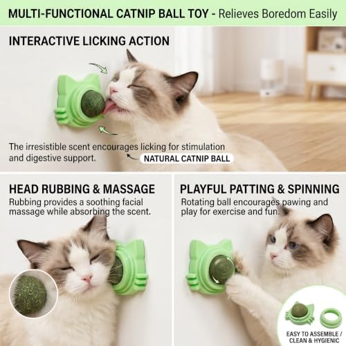 Cat Wall Toy 9pcs Refill Ball Catnip Silvervine Gall Fruit Lickable - Image 4