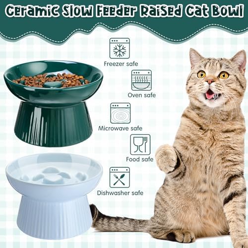 Tioncy 2 Pcs Ceramic Elevated Slow Feeder Cat Bowl, Dark Green, Blue - Image 5
