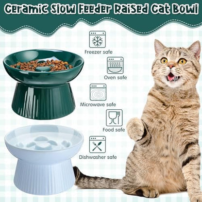 Tioncy 2 Pcs Ceramic Elevated Slow Feeder Cat Bowl, Dark Green, Blue - Image 5