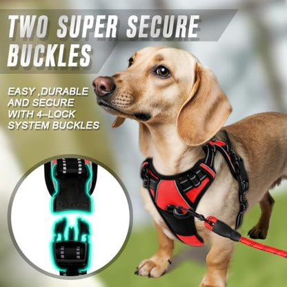 BARKBAY Dog Harness No Pull for Small Sized Dog Front Back Clips,Dog Vest - Image 4