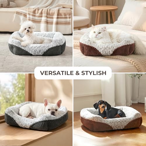Cute Dog Bed for Small Medium Dogs,Washable Cat Beds, 20in - Image 6