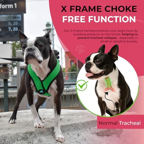 Gooby Comfort X Head-in Dog Harness, Choke-Free, Hunter Green, Large - Image 5