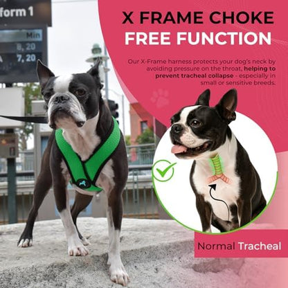 Gooby Comfort X Head-in Dog Harness, Choke-Free, Hunter Green, Large - Image 5