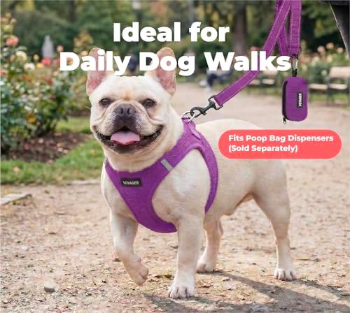 Best Pet Supplies Voyager Nylon Dog Leash - Purple, Large - Image 3