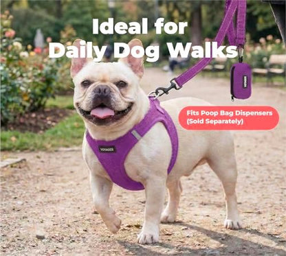 Best Pet Supplies Voyager Nylon Dog Leash - Purple, Large - Image 3