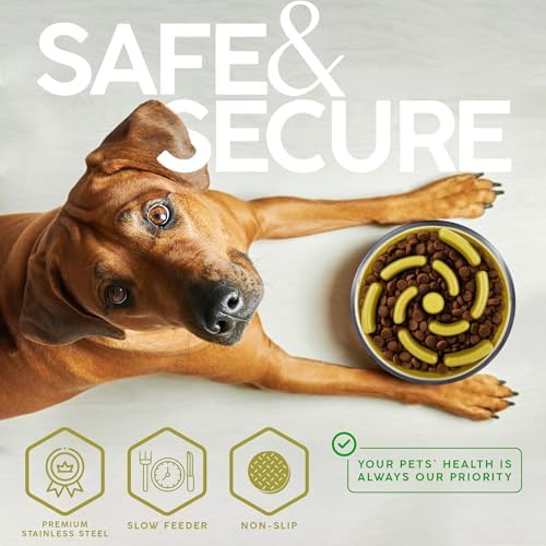 FAHRMOSIS 32 Oz Dog Bowl with Slow Feeder Insert Stainless Steel Pet Water Bowl for Medium & Large Breed Non Slip Rubber Base & Plastic Puzzle Feeder - Yellow - Image 4