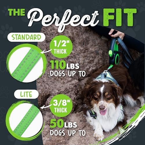 Mighty Paw Retractable Dog Leash 2.0, 16 Ft, for Medium Dogs, Heavy Duty - Image 2