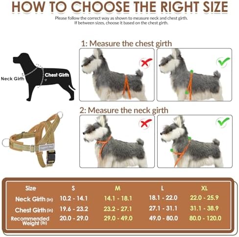 SlowTon No Pull Dog Harness and Leash Set - Heavy Duty, Soft Padded - Image 6