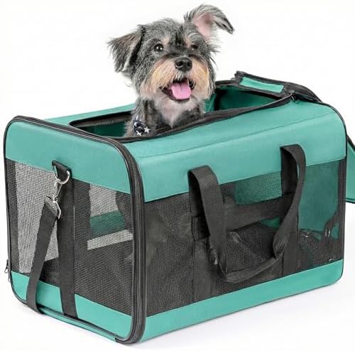 Conlun Dog Carrier Soft Sided, Large Cat Carrier up to 20 Lbs,Turq L by Conlun