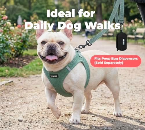 Best Pet Supplies Voyager Nylon Dog Leash - Moss Green, Medium - Image 3