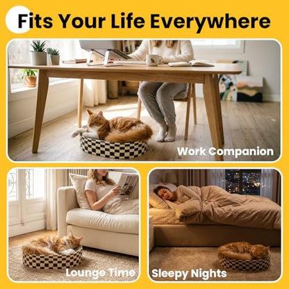Conlun Oval Cat Scratcher Bed | Scratching Bowl Lounge for Kittens | Medium - Image 6