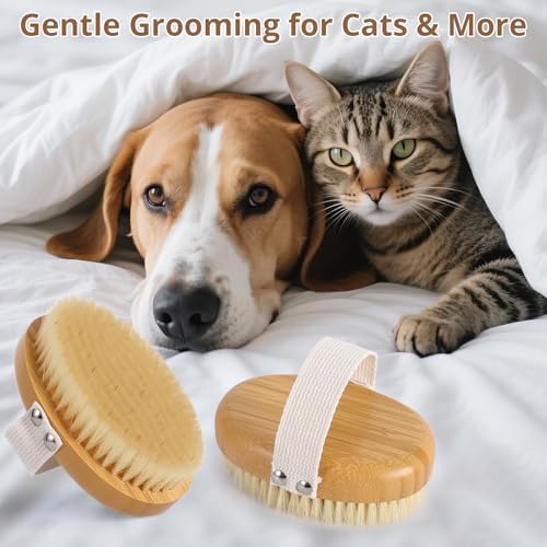 Boar Bristle Cat Brush for Indoor Cats, Cat Hair Brush Gentle Grooming, Reduce Shedding, Soft Hair and Healthy Shine, Bamboo Handheld with Soft Boar Bristles and Band for Short Haired Cats Dogs - Image 2