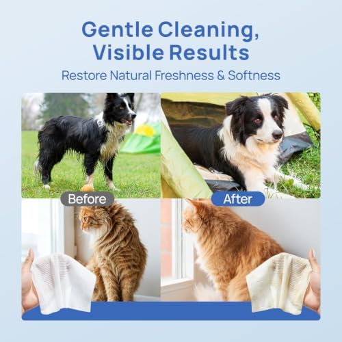 HICC PET Dog Wipes for Dogs & Cats, French Mineral Water, 440 Count - Image 5