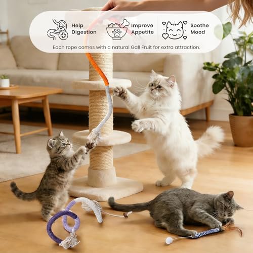 Silvervine Sticks for Cats and Cat Chew Rope Toy for Dental Care Teeth Cleaning&Anxiety Relief,Interactive Catnip Toys for Bored Indoor Cats（9pcs） - Image 5