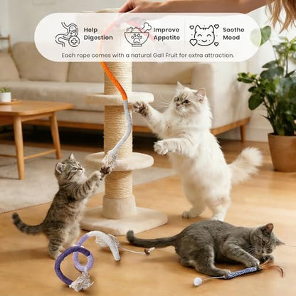 Silvervine Sticks for Cats and Cat Chew Rope Toy for Dental Care Teeth Cleaning&Anxiety Relief,Interactive Catnip Toys for Bored Indoor Cats（9pcs） - Image 5