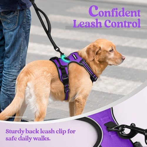 rabbitgoo Dog Harness, No Pull for Large Dogs with 2 Leash Clips, Pet Vest - Image 6