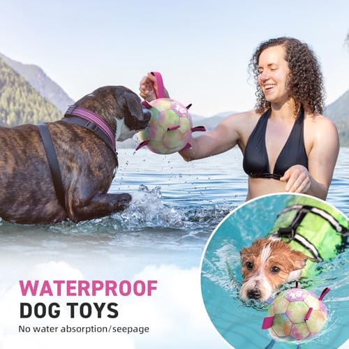 QDAN Dog Balls, Dog Herding Ball, 8 Inch Large Dog Soccer Ball with Strap - Image 2