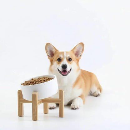 Petygooing White Raised/Elevated 15°Slanted Ceramic Dog Bowl for Small Breeds,Tilted Anti Slip Pet Feeding Bowl,Food Water Dish with Stand for Cats and Small Dogs Puppy 13.5 OZ (5.1In / 1.7 Cups)