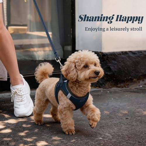 No Pull Dog Puppy Harness and Leash Set Reflective Mesh Vest X-Small - Image 6
