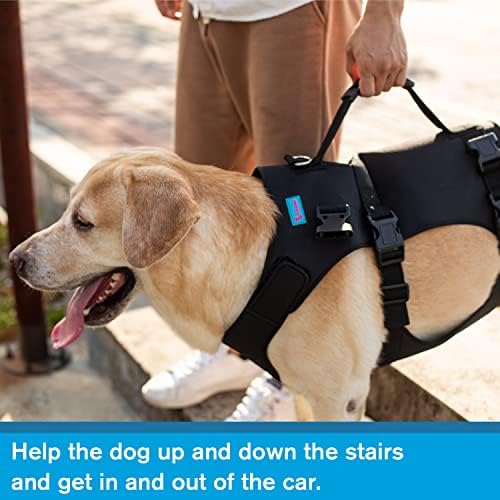 Dog Lift Harness, Rehabilitation Lifts Vest for Dogs, Support & Recovery Sling, Adjustable Breathable Lifting Straps for Old, Joint Injuries, Arthritis, Paralysis Dogs Walk (L, Black) - Image 5