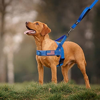 Annchwool No Pull Dog Harness with Soft Padded Handle,Reflective Strip Escape Proof and Quick Fit to Adjust Dog Harness,Easy for Training Walking for Small & Medium and Large Dogs(Blue,S) - Image 6
