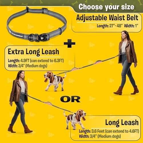 Exquisite Hands-Free Leash for Medium Dogs: Perfect for Active Pet Owners Comfortable, Durable & Ideal for Running, Walking, Hiking. Premium Dog Waist Leash with Bungee. Must-Have Dog Gear - Image 4