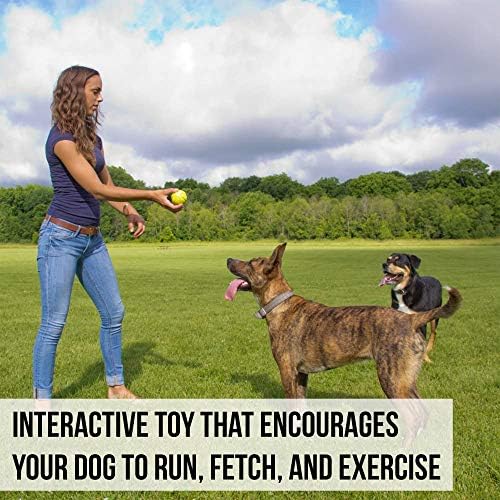 Hyper Pet Fetching Dog Toys - Throwing Ball Dog Toy Made with EVA Foam - Lightweight & Floats on Water,Green - Image 4