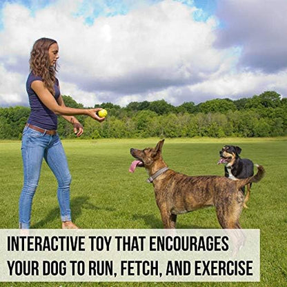 Hyper Pet Fetching Dog Toys - Throwing Ball Dog Toy Made with EVA Foam - Lightweight & Floats on Water,Green - Image 4