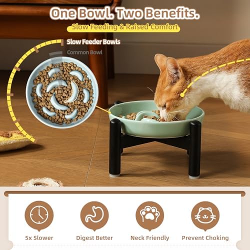 Elevated Ceramic Slow Feeder Cat Bowl, 6.3'' Wide Whisker Friendly - Image 3