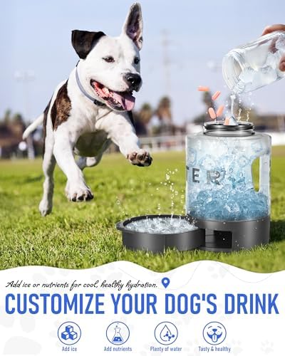 Dog Water Bottle Travel Bowl, 77oz Large Portable Dog Water Bowl Dispenser, Leakproof Pet Drinking Bottle Dispenser for Hiking Camping Walking Travelling Beach Car Trips, BPA Free, Black - Image 6