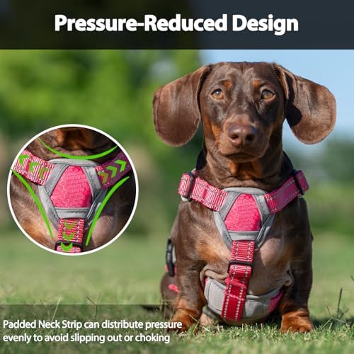 Huntboo Escape Proof Dog Harness, Dachshund Harness, Reflective Dog Harness with Handle, Durable,Adjustable Vest for Small Medium Large Dogs Walking, Training, and Running Gear (Rose red,S) - Image 5