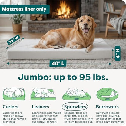 FurHaven Dog Bed Liner for Large Dogs, Water-Resistant Foam Protector with Quiet No-Crinkle Cover Design, Easy to Clean, Jumbo XL, Coated Polyester, White - Image 3