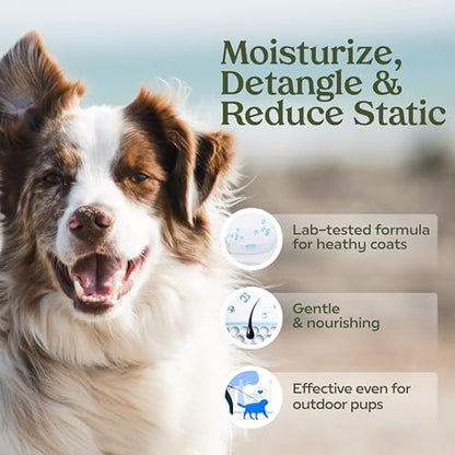 PAWFUME Dog Cologne Spray for Grooming, Blue Ribbon, 1-Pack - Image 2