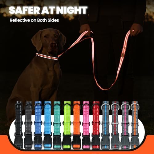 VIVAGLORY Double Handle Dog Leash Twingrip, 5ft x 1in, L, Orange Grey - Image 5