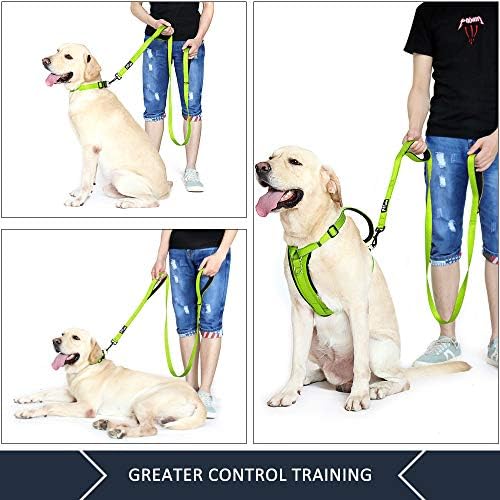 Plutus Pet Double Handle Dog Leash, 6 FT Long, for Medium Large Dogs - Image 3