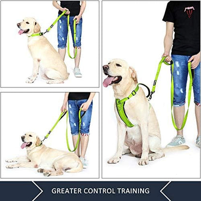 Plutus Pet Double Handle Dog Leash, 6 FT Long, for Medium Large Dogs - Image 3