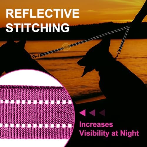 MingXpet Double Dog Leash for Two Dogs, No Pull Dog Leash, 360° Swivel No Tangle for Medium Dogs Walking & Training, Shock Absorbing Reflective Bungee, Rose - Image 5