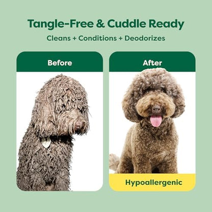 Earth Rated Detangler Hypoallergenic Dog Shampoo & Conditioner, 16 oz - Image 2