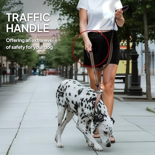 Twoear 4FT 1IN Heavy Duty Dog Leash for Large Dogs with 2 Padded Handles - Image 6