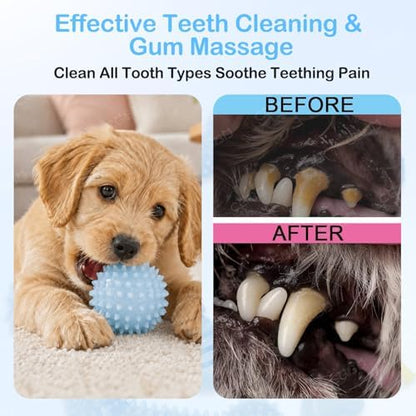 Puppy Toys, 6 Pack Dog Chew Toys for Puppy, Cute Blue Small Dog Toys, Teething Toys for Puppies, Soft Durable Interactive Chew Toy for Small Dogs - Image 5
