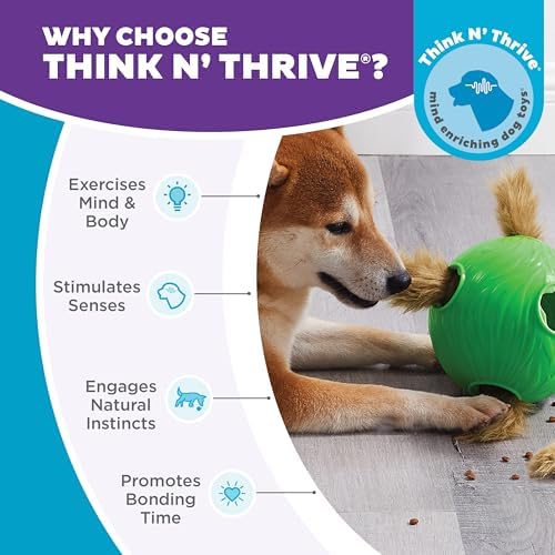Outward Hound by Nina Ottosson Dog Snuffle N' Treat Ball Puzzle, Level 2 Intermediate, Green, Large - Image 6