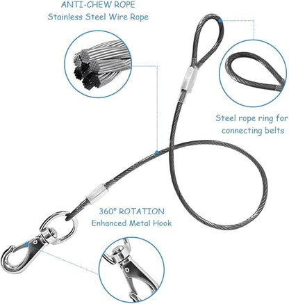 Chew Proof Dog Leash - 2Pack Metal Cable Lead,No Tangle Multiple Dog Leashes for Small and Medium Dogs- Heavy Duty Leash Extender for Collars & Harnesses(Black+Purple, 20in/50cm)