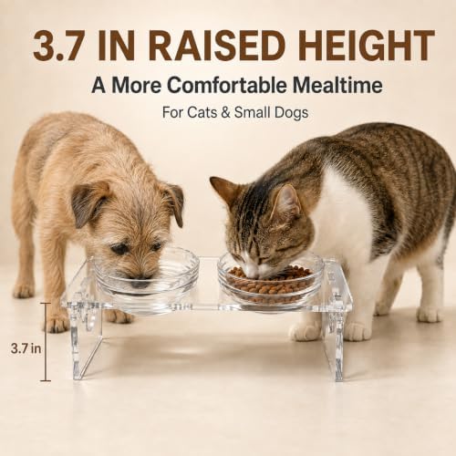 Acrylic Dog Bowl Stand, 3.7in Elevated Cat Bowls, 4 Bowls - Image 2