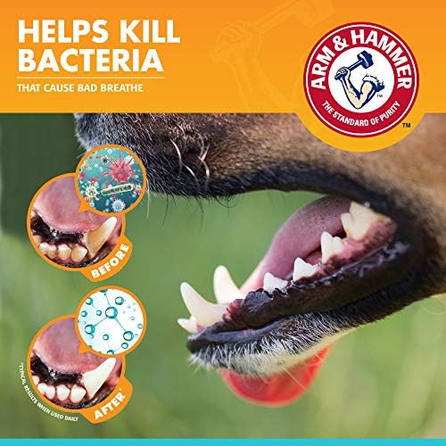 Arm & Hammer Fresh Breath Dog Dental Kit, Vanilla Ginger, 2.5 Oz, 3 Piece - Image 4