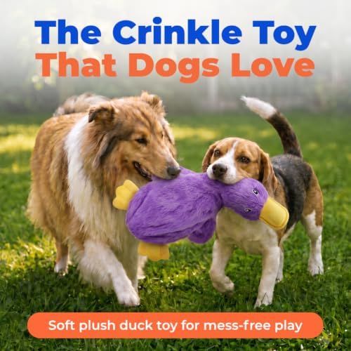 Best Pet Supplies Interactive Squeaky Dog Toy - Crinkle Duck, Purple - Image 2