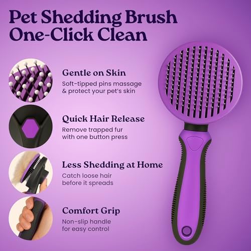 gameOFF Cat Grooming Kit 6 in 1, Include: Nail Clipper, Brush for Shedding, Wand Toy, Interactive Ball Toy, Bath Brush, Ear Cleaner Finger Wipes (30ct.), Cat Grooming Supplies, Kitten Supplies - Image 2